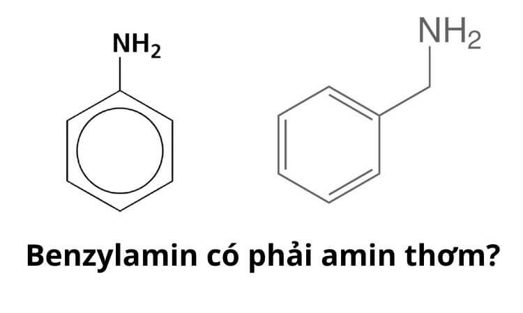benzylamin-co-phai-amin-thom