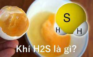 Khí H2S là gì? Cấu tạo và tính chất lý hóa học?