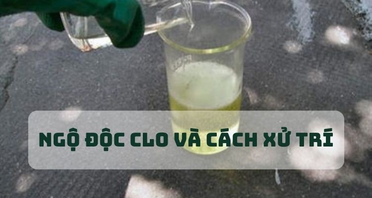 Ngộ độc khí clo xảy ra do nguyên nhân gì?
