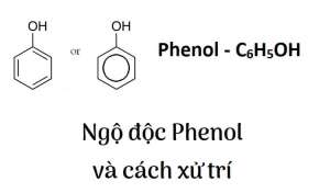 Ngộ độc phenol là gì? Cách xử trí an toàn khi bị ngộ độc phenol?