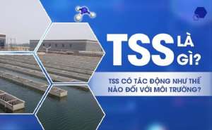 Chỉ số TSS là gì? Ý nghĩa cách đo chỉ số TSS