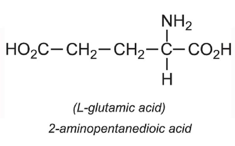 axit-glutamic-2