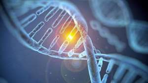 Đột biến gen là gì? Các dạng đột biến gen phổ biến
