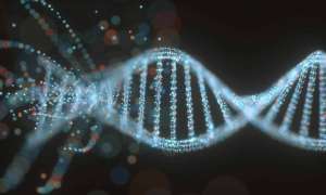 Gen trội là gì? Các kiểu gen trội phổ biến