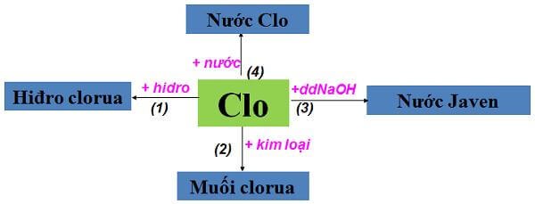 cl-hoa-tri-may-2