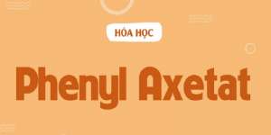 Phenyl Axetat là gì? Tính chất lý hóa và ứng dụng của Phenyl Axetat