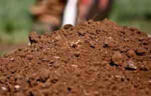 Đất phù sa | Đặc điểm, phân loại và ứng dụng trong nông nghiệp