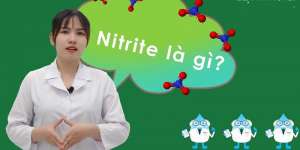Nitrite là gì? Khi nào cần xét nghiệm Nitrite trong nước tiểu