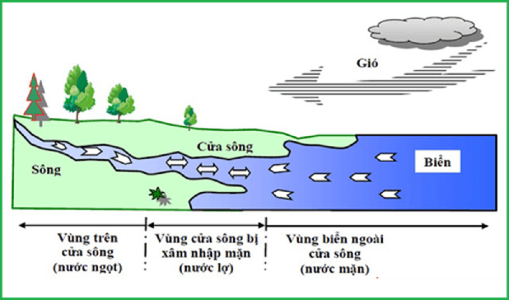 nuoc-lo-2