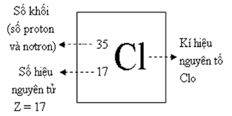 so-khoi-la-gi-1