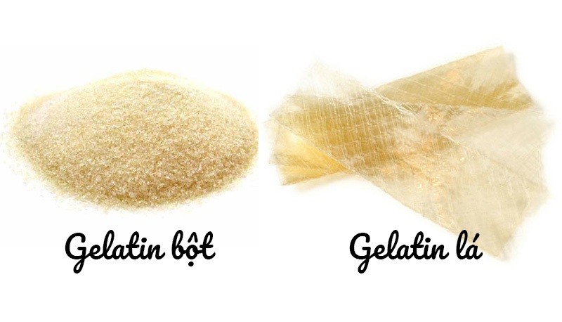 gelatin