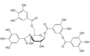 Tannic acid là gì? Tính chất, Ứng dụng và Mức độ an toàn với sức khỏe