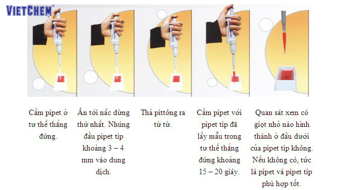 ống hút pipet