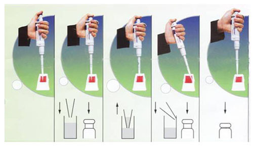 Hình ảnh minh họa cách dùng ống pipte lấy mẫu theo chiều xuôi