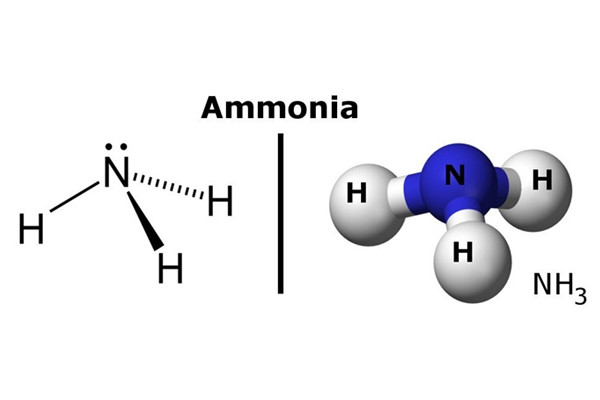 Amoniac (Nh3) Là Gì - Đặc Điểm, Ứng Dụng, Độc Tính, Cách Bảo Quản