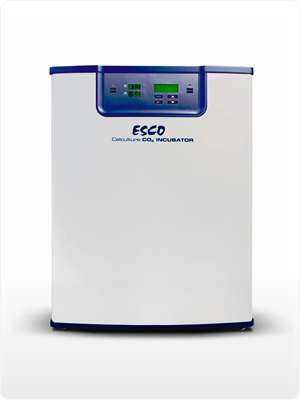 Tủ ấm CO2  CCL-170B-8, Esco