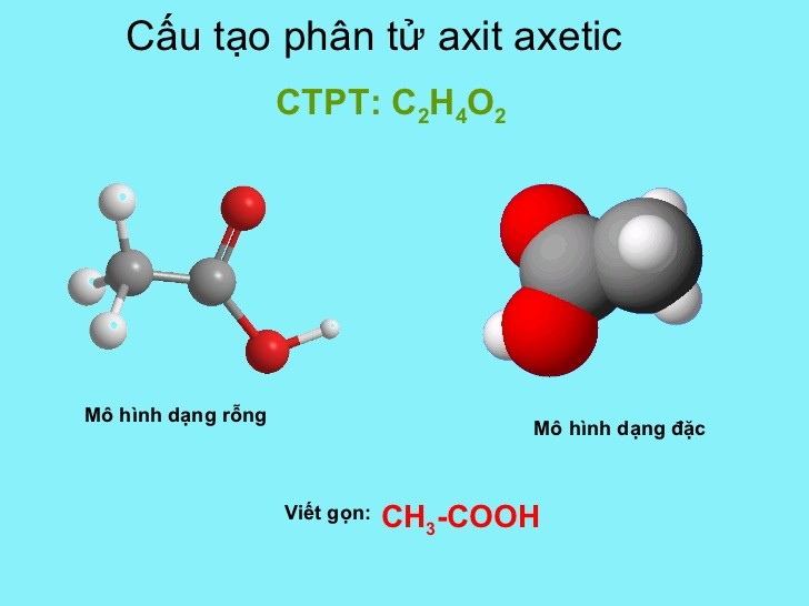 Cấu tạo phân tử axit axetic CH3COOH