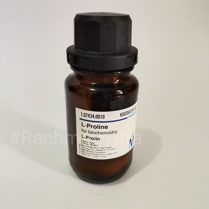 L-Proline for biochemistry 10g Merck