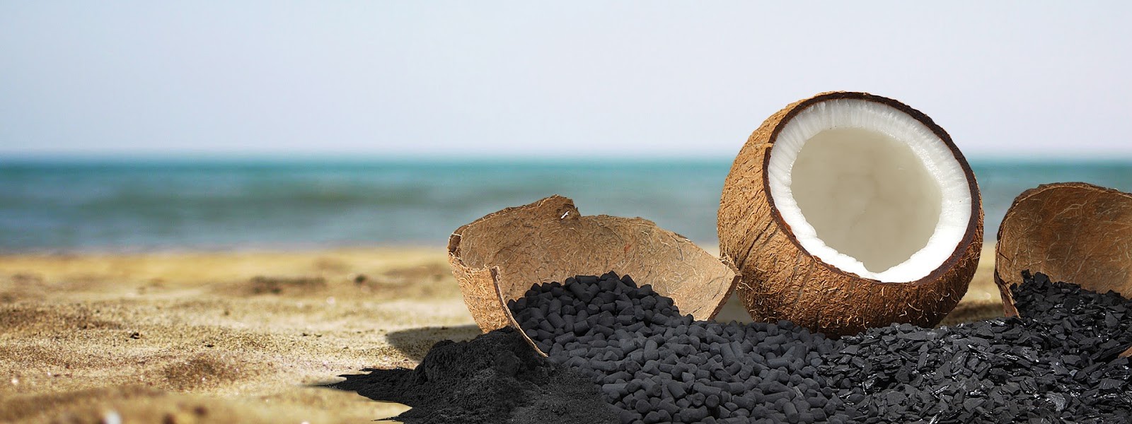 Gáo dừa là nguyên liệu chính để sản xuất than hoạt tính ở nước ta