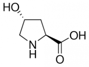L-Hydroxyproline for biochemistry Merck