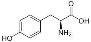 L-Tyrosine for biochemistry 10kg Merck