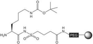 H-Lys(Boc)-Sulfamylbutyryl NovaSyn® TG resin 5g Merck