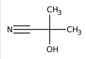 Acetone cyanohydrin, 99%, stabilized 5g Acros