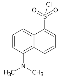 5-Dimethylaminonaphthalene-1-sulfonyl chloride for biochemistry 10g Merck