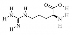 L(+)-Arginine, 98+% 100g Acros