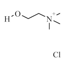 Choline chloride, 99% 1kg Acros