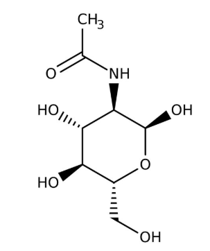 2-Acetamido-2-deoxy-alpha-D-glucopyranose, 99+% 100g Acros