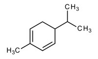 α-Phellandrene for synthesis 100ml Merck