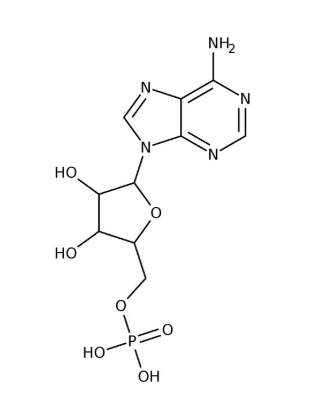 Adenosine 5'-monophosphate, 99% 5g Acros