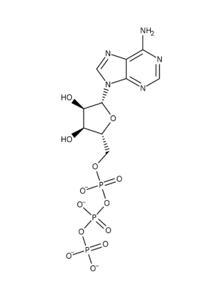 Adenosine 5'-triphosphate, disodium salt hydrate, 98% 10g Acros