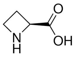 (S)-(-)-2-Azetidinecarboxylic acid, 99+% 1g Acros