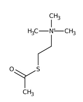 S-Acetylthiocholine iodide, 98% 5g Acros