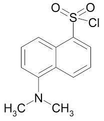 Dansyl chloride, 98% 1g Acros