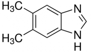 5,6-Dimethylbenzimidazole, 99+% 25g Acros