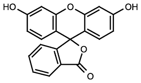 Fluorescein, pure 25g Acros