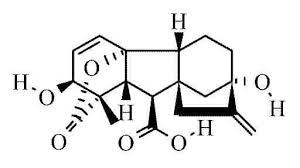 Gibberellic acid, 90% 5g Acros