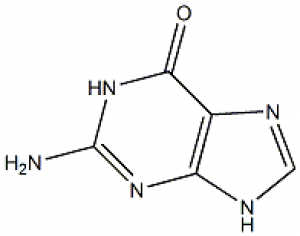 Guanine, 99+% 100g Acros