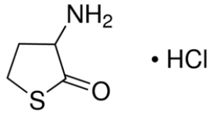 DL-Homocysteinethiolactone hydrochloride, 99% 25g Acros
