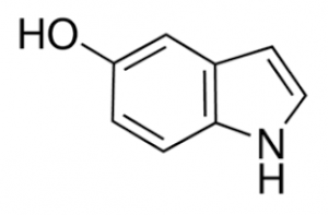 5-Hydroxyindole, 97% 1g Acros