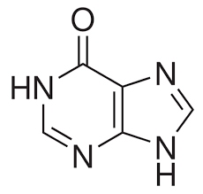 Hypoxanthine, 99.5% 5g Acros