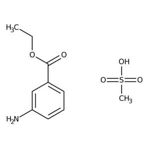 Ethyl 3-aminobenzoate, methanesulfonic acid salt 98%, 10g Acros