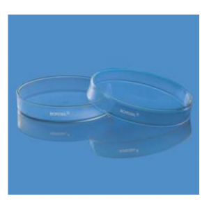 Đĩa Petri 100x17 mm borosilicate 3.3 Borosil