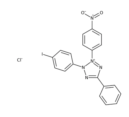 Iodonitrotetrazolium chloride 98% 25g Acros