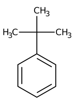 tert-Butylbenzene, 99%, 500ml, Acros