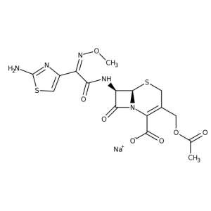 Cefotaxime sodium salt 1g Bioreagents