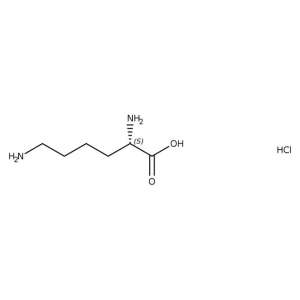 L-Lysine Hydrochloride 100g Bioreagents